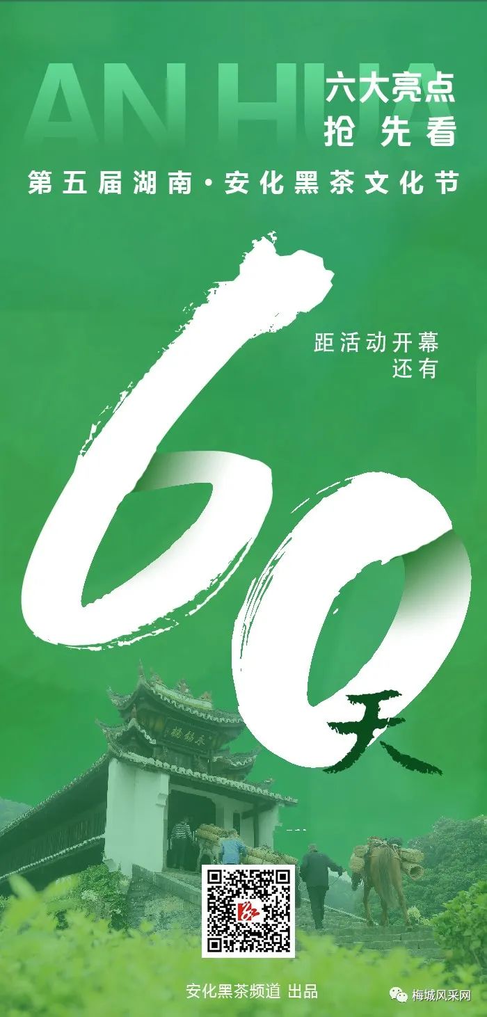 倒计时60天｜第五届湖南·安化黑茶文化节六大亮点抢先看